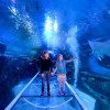 SEA LIFE Birmingham